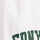 Printed boxers FDNY CLOVER GREEN WHITE