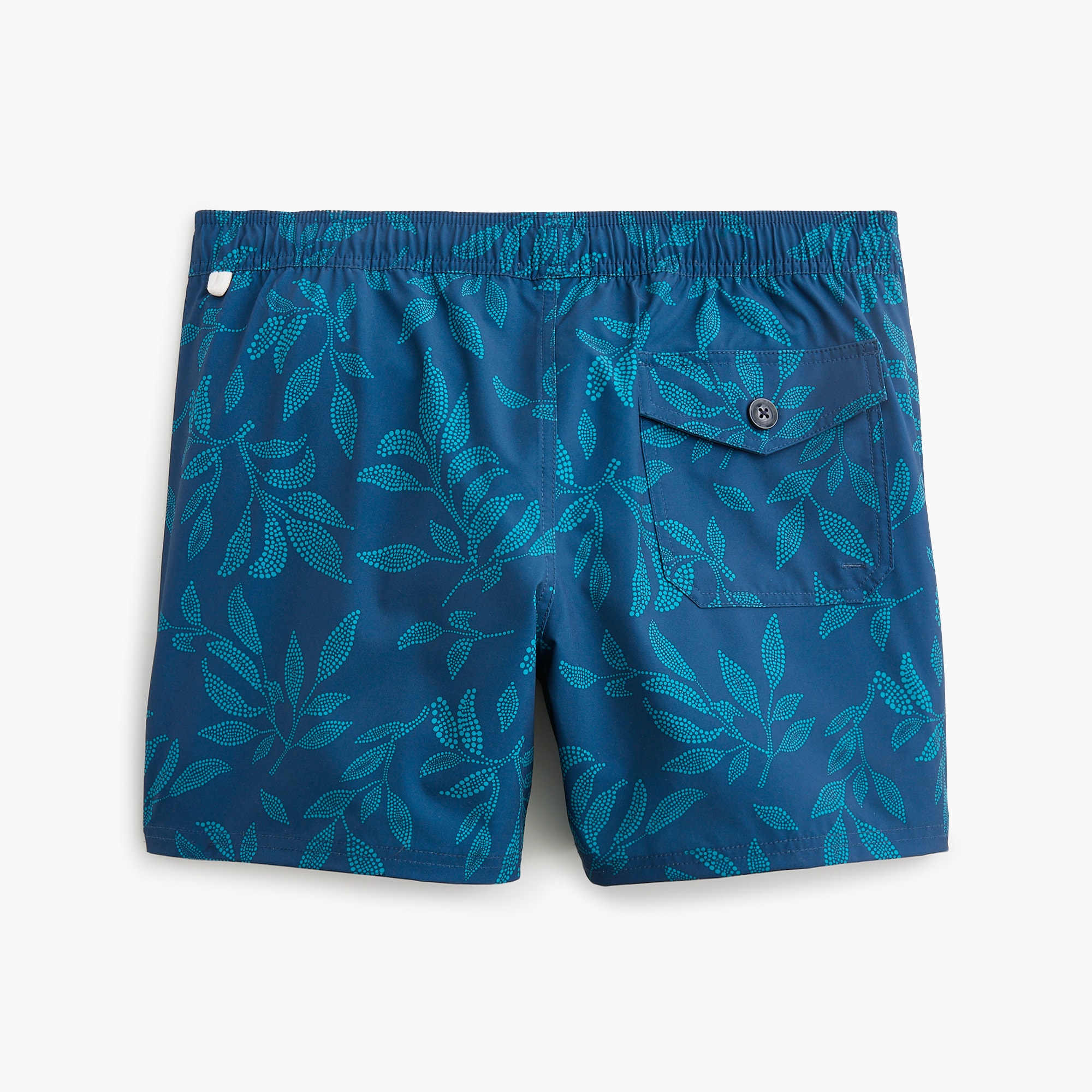 5" swim trunk