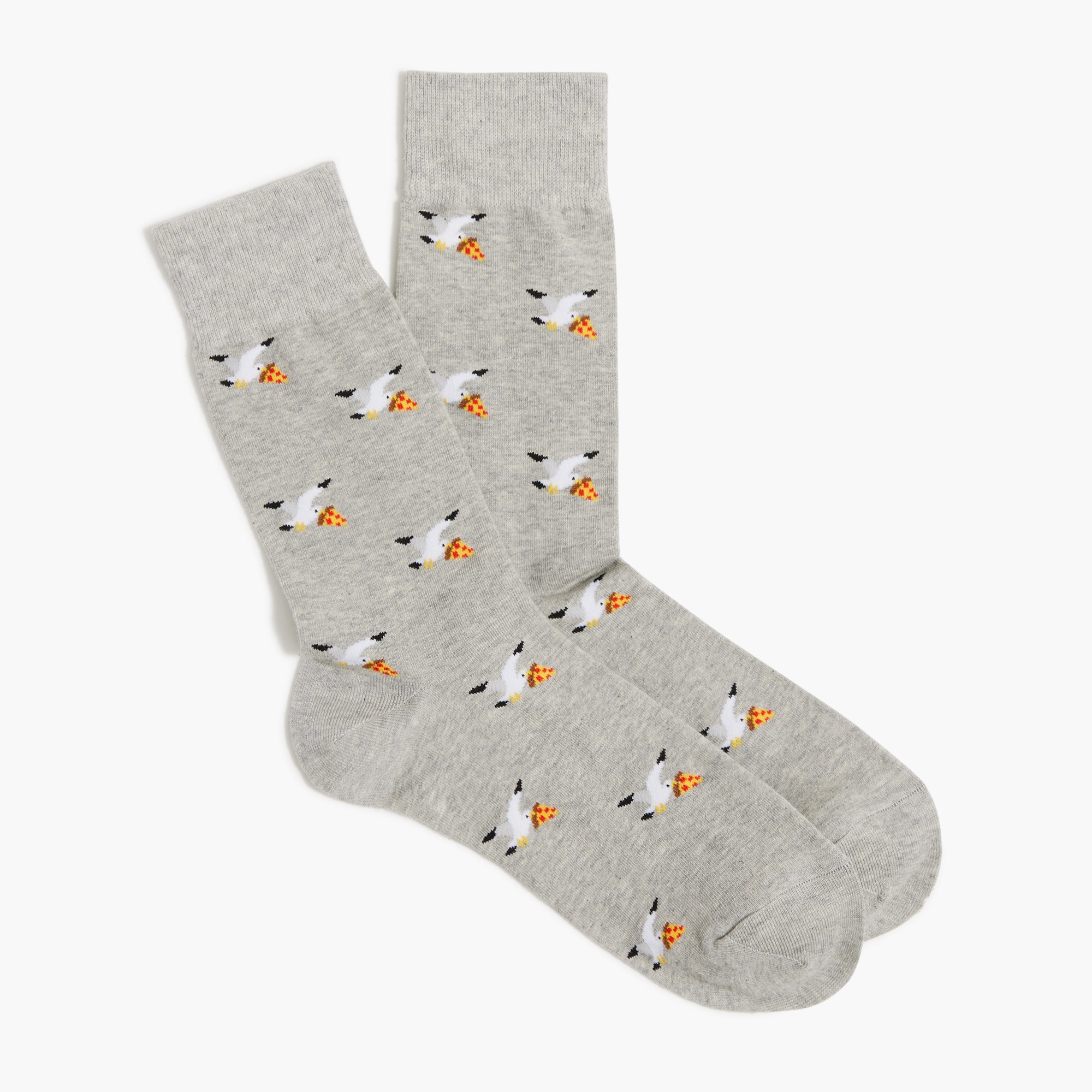 Seagull with pizza socks