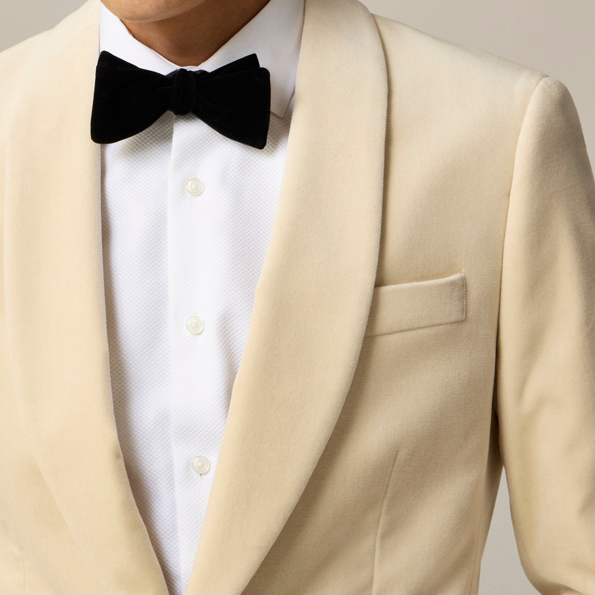 Velvet bow tie