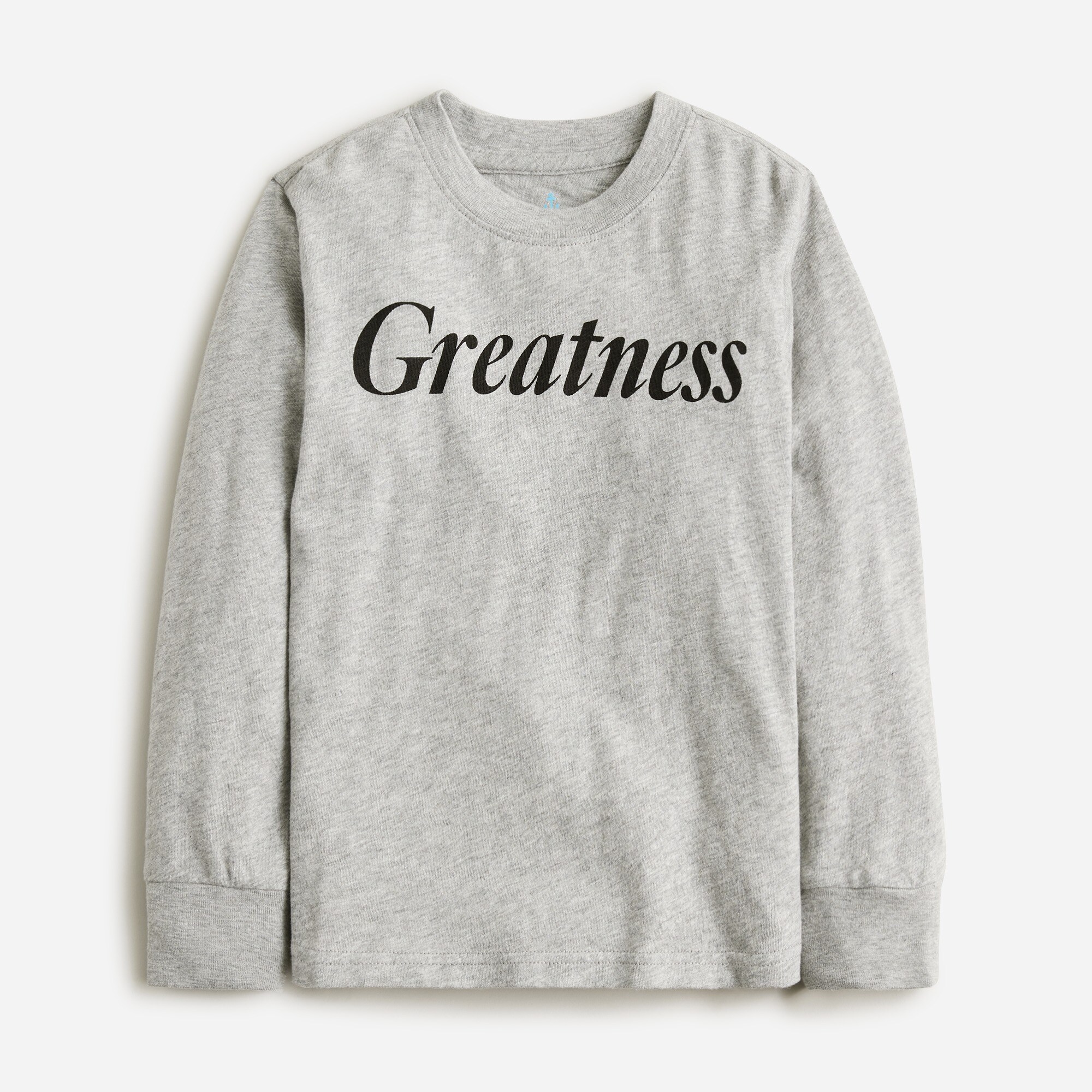  Kids' long-sleeve &quot;greatness&quot; graphic T-shirt
