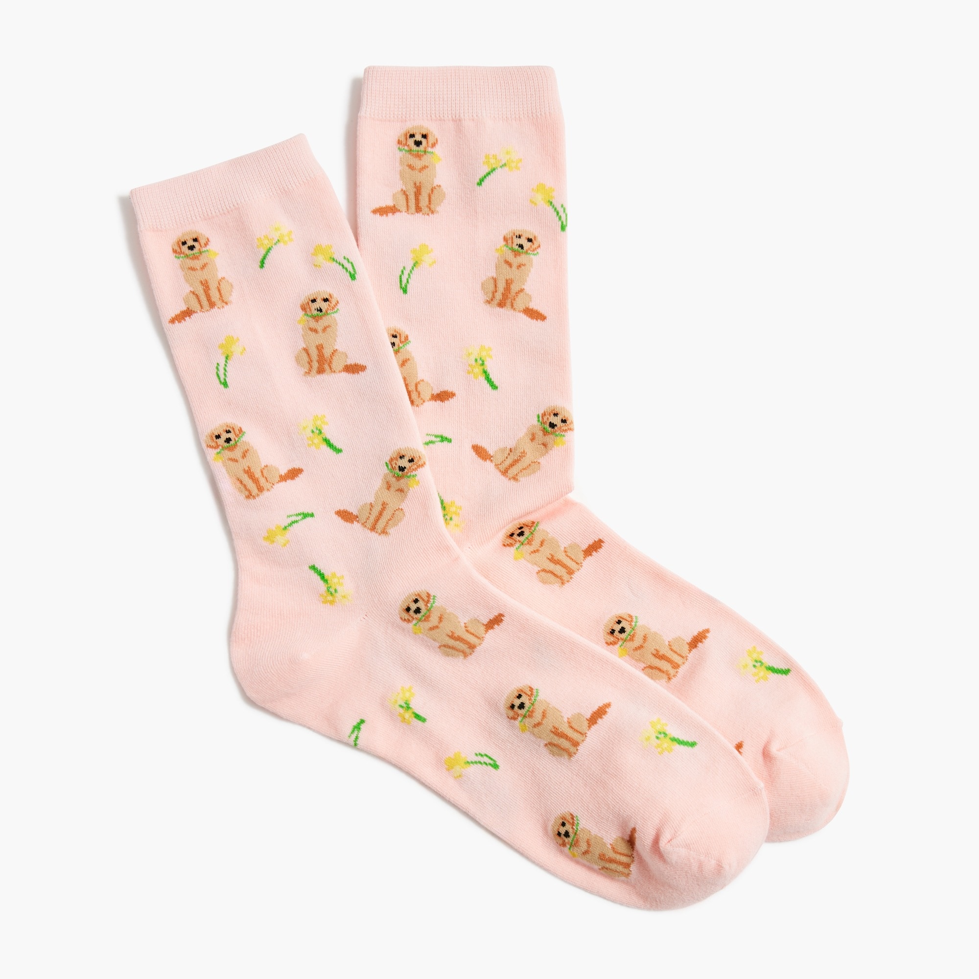 Flower dog trouser socks