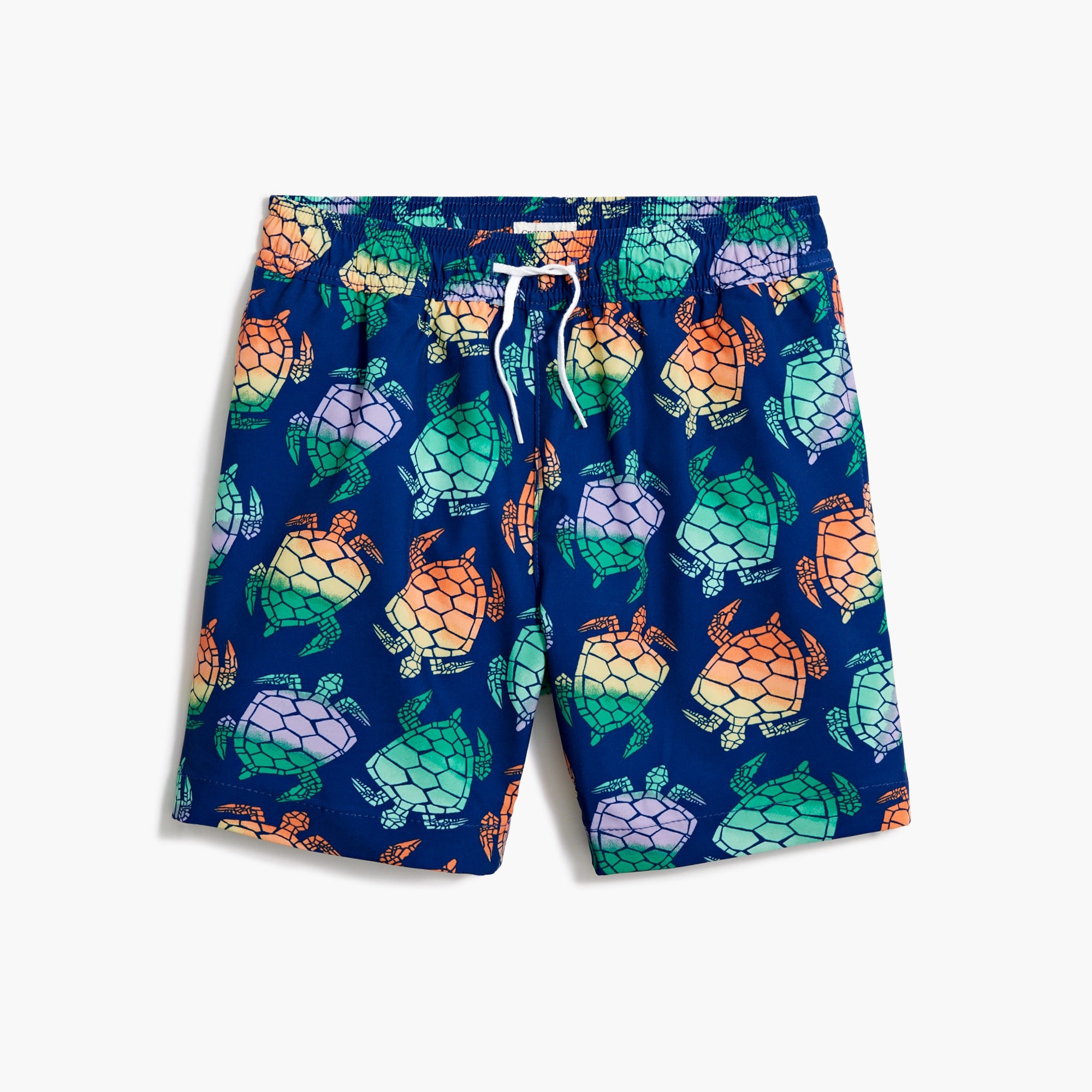 Boys' turtles swim trunk