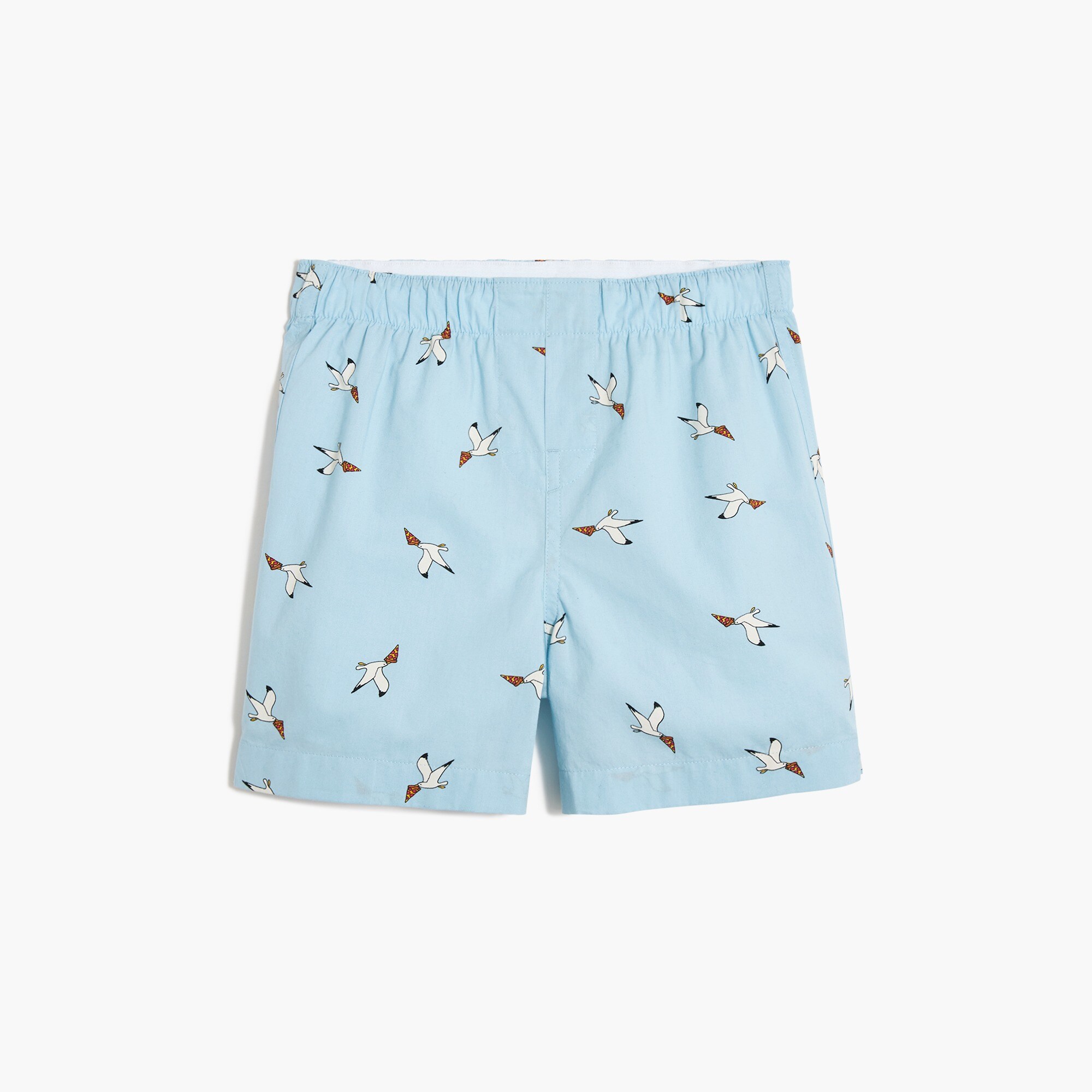  Boys' seagull with pizza boxers