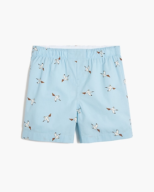  Boys' seagull with pizza boxers