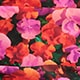 Ruched bandeau one-piece swimsuit in pansy floral FUCHSIA MULTI ruched bandeau one-piece swimsuit in pansy floral for women
