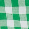Petite gingham button-up shirt in signature fit GREEN PICNIC WHITE