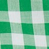 Gingham lightweight cotton shirt in signature fit GREEN PICNIC WHITE 