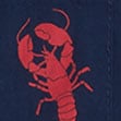 Boys' lobster graphic tee ANTIQUE NAVY BELVEDERE 