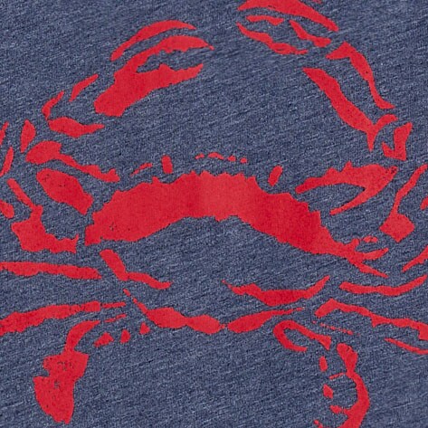 Surfer van graphic tee DEEP ULTRAMARINE CRAB