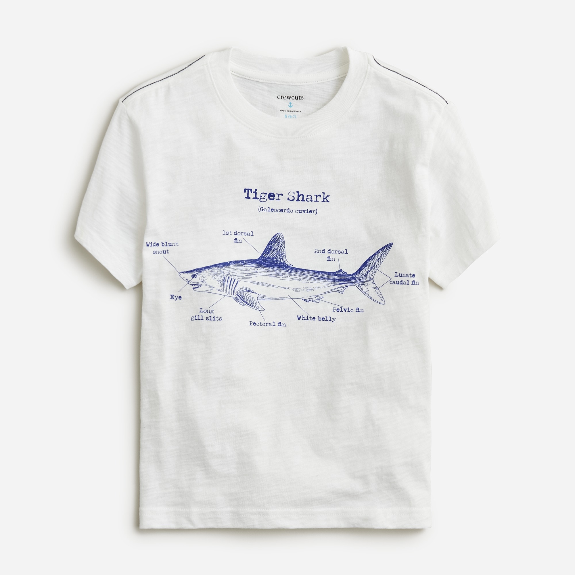  Kids' tiger shark graphic T-shirt