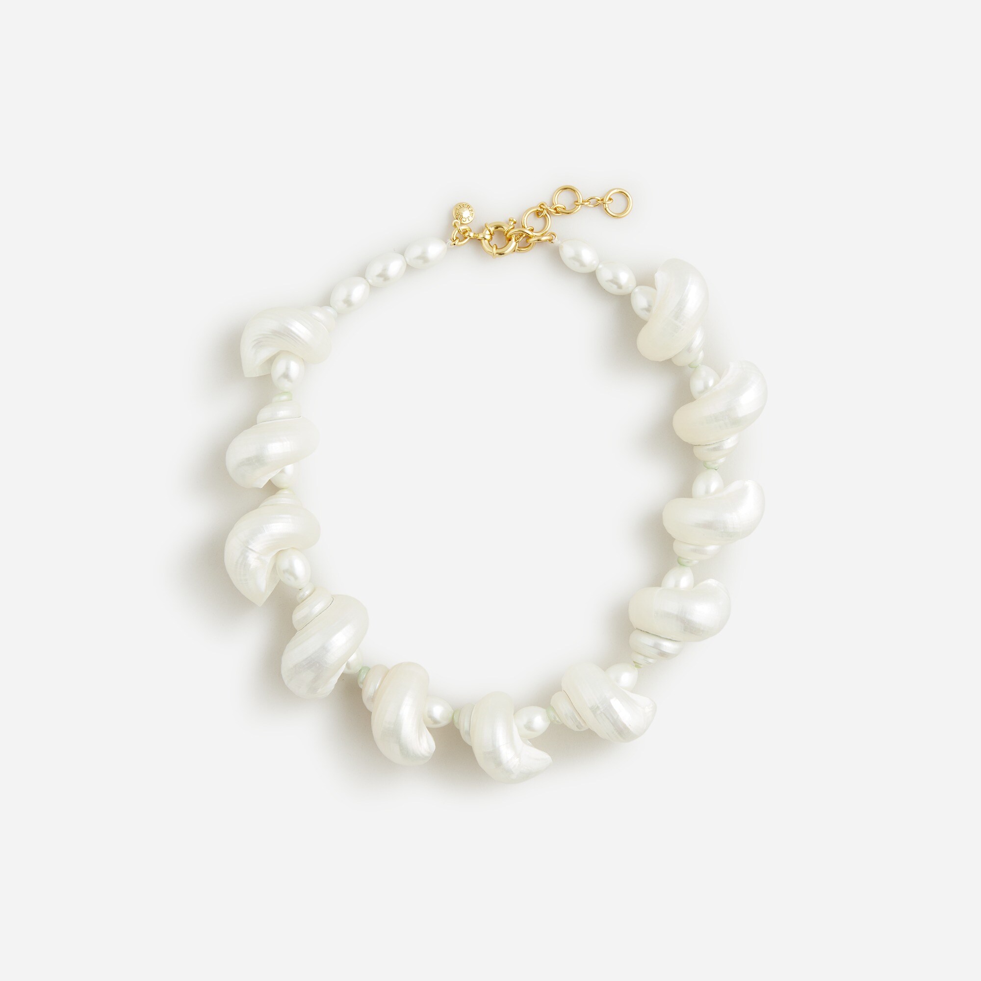 Turbo shell necklace