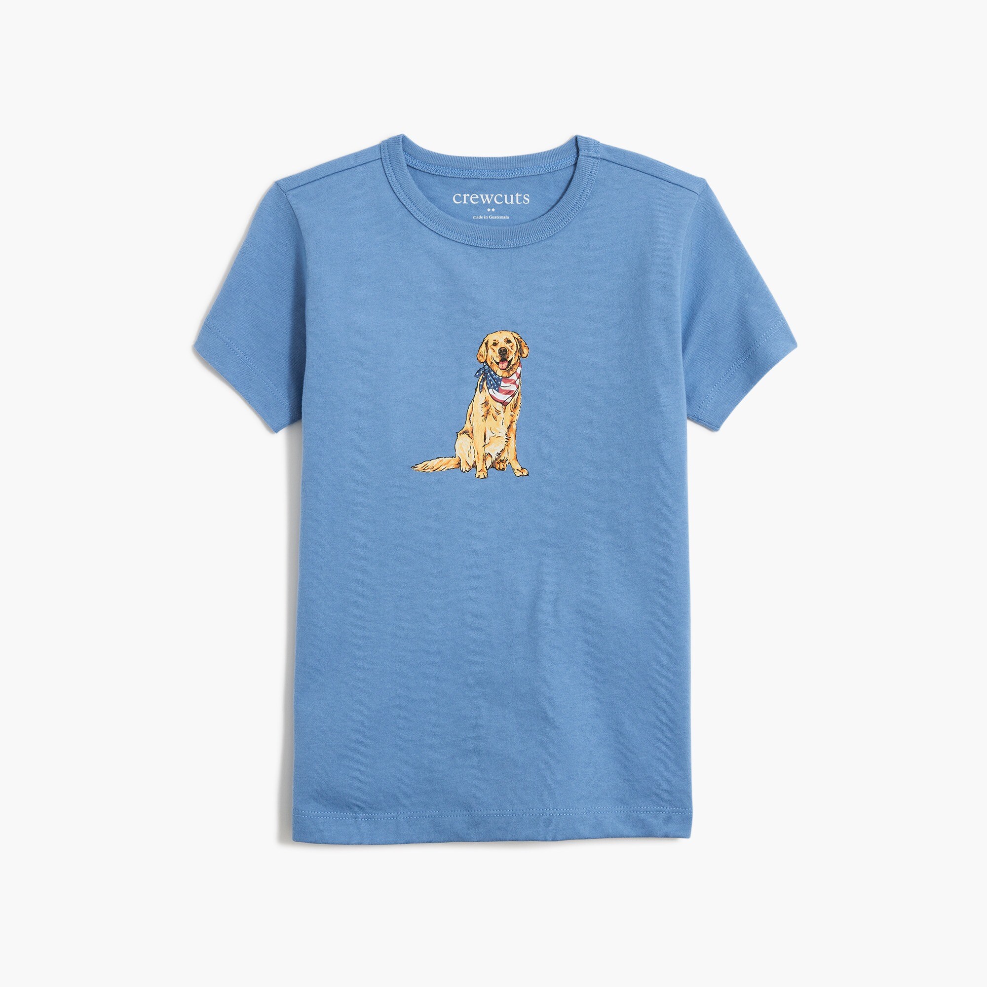 Boys' dog with patriotic bandana graphic tee