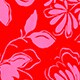 SCARLET HEAT FLORAL