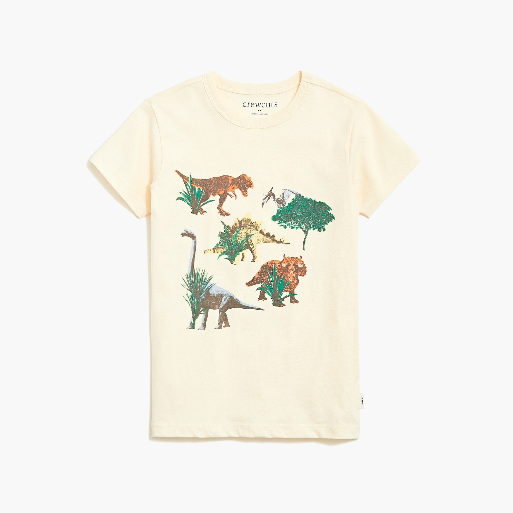 Boys' short-sleeve dinosaur sun graphic tee