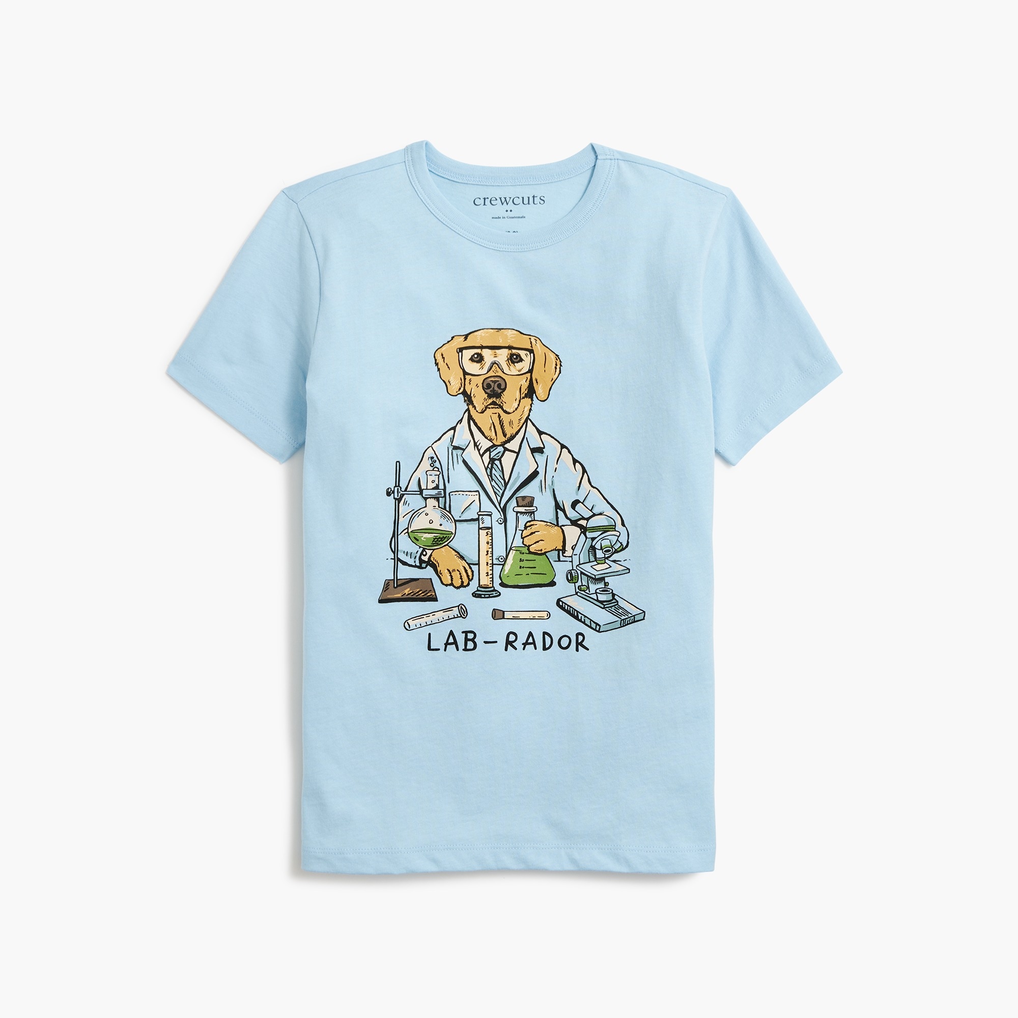 Boys' short-sleeve Labrador graphic tee