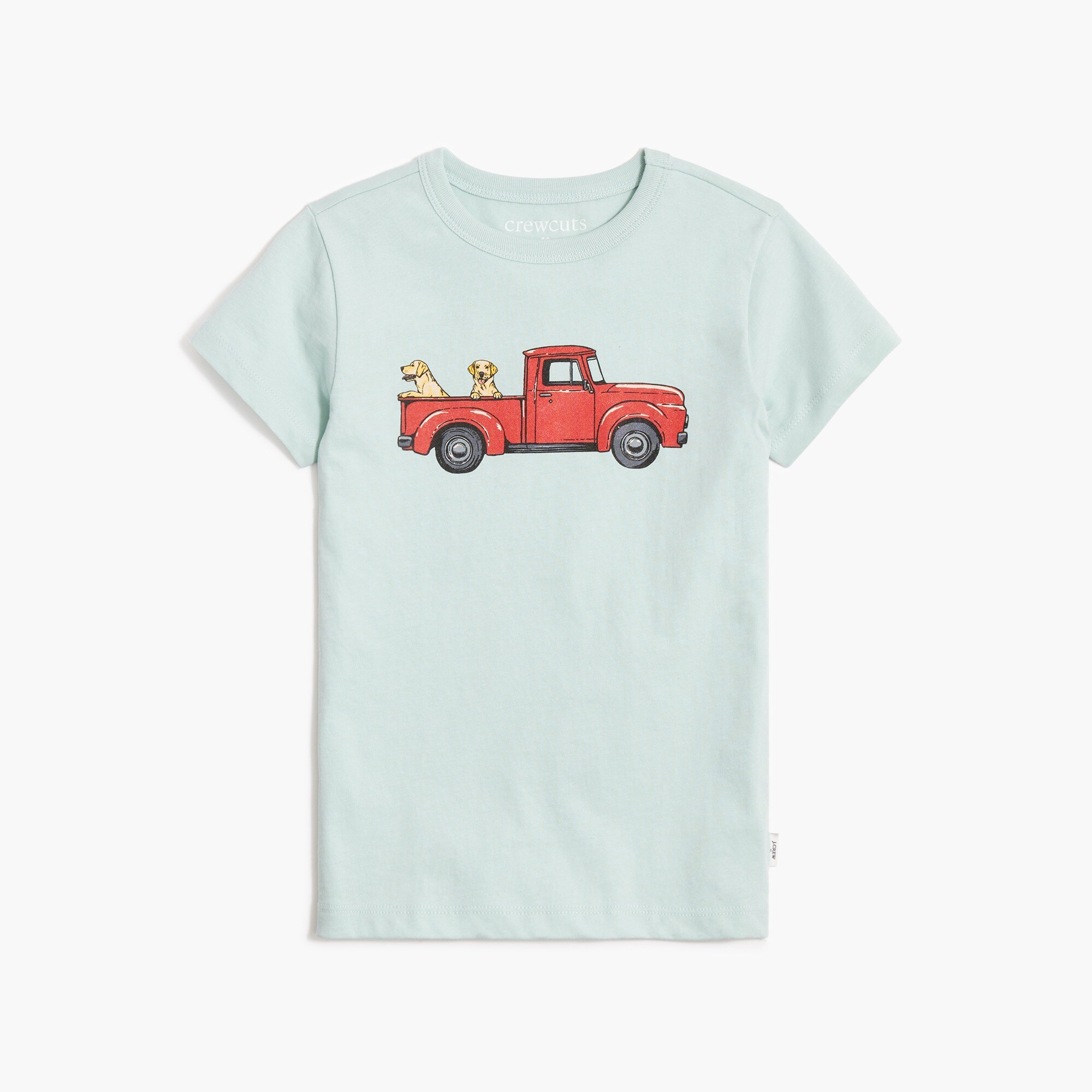 boys' dog in truck graphic tee for boys