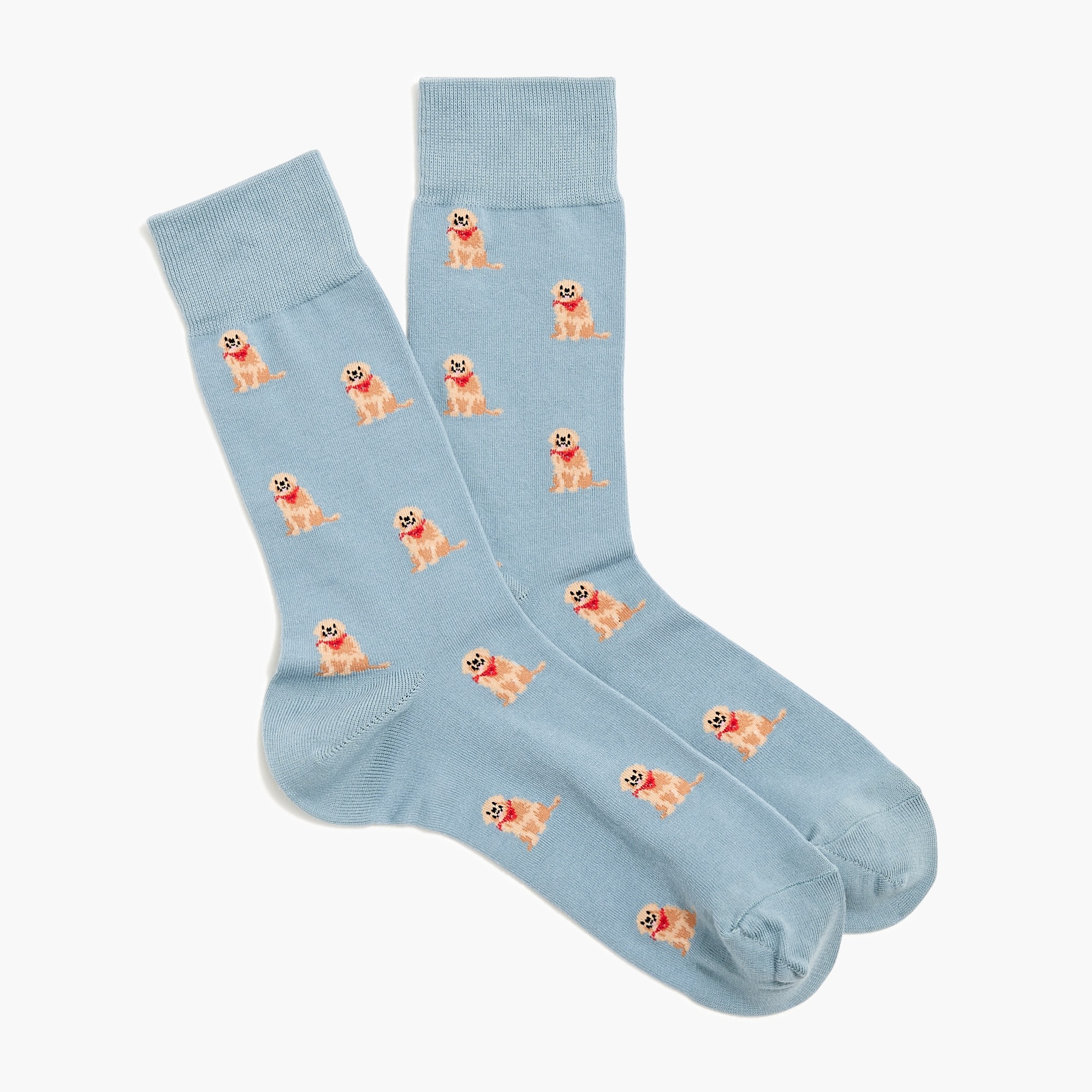 Dog in bandana socks