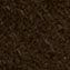 Suede roller-buckle belt COFFEE BEAN