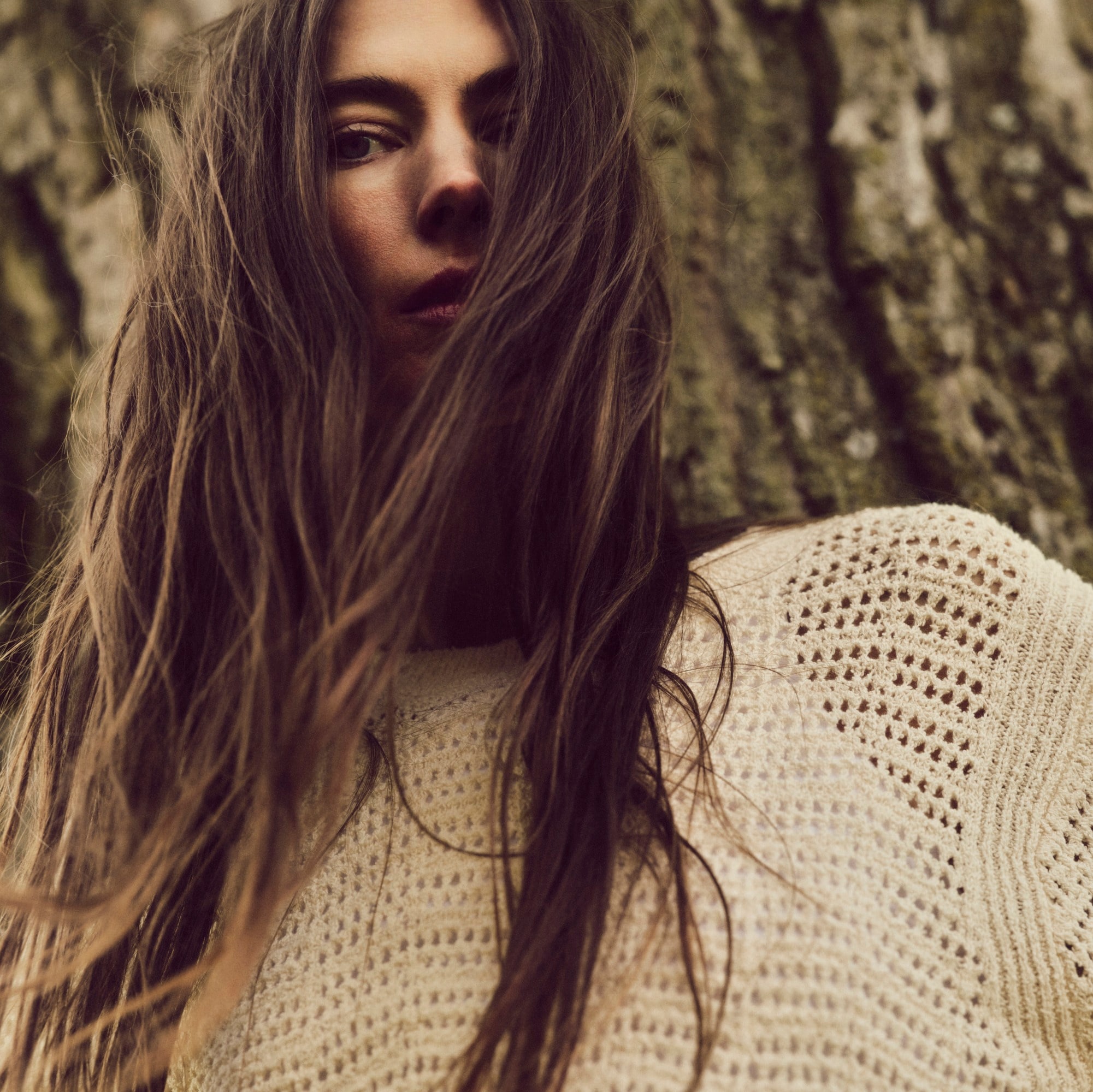 Pointelle crewneck sweater