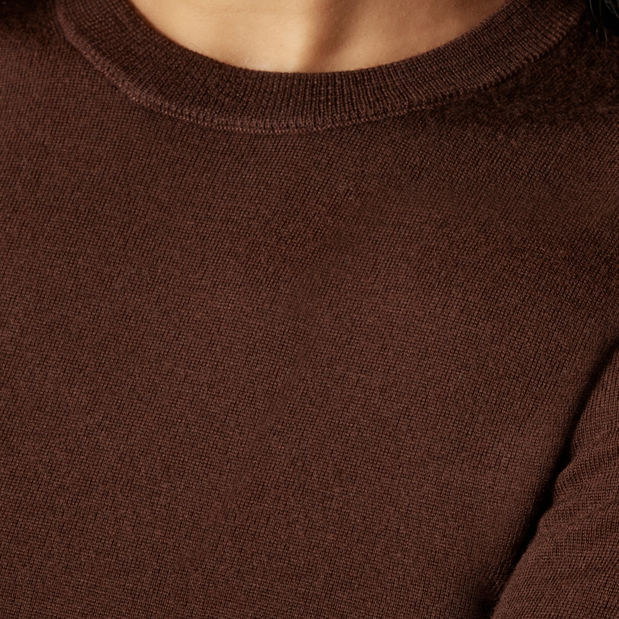 Carolyn fitted crewneck sweater in merino wool