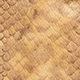 Edie shoulder bag in Italian leather BRANDY SNAKE