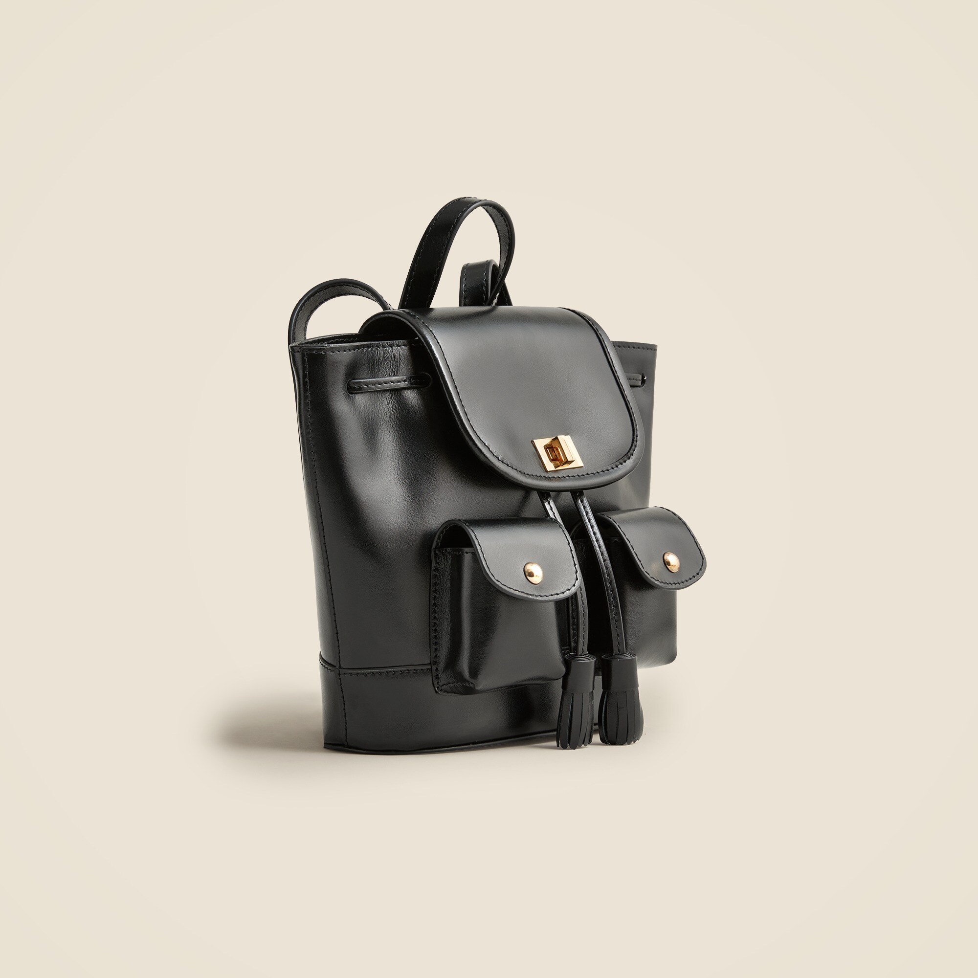 J.Crew Small Leather Backpack For Women