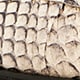 Maison ruched loafers in snake-embossed Italian leather NATURAL