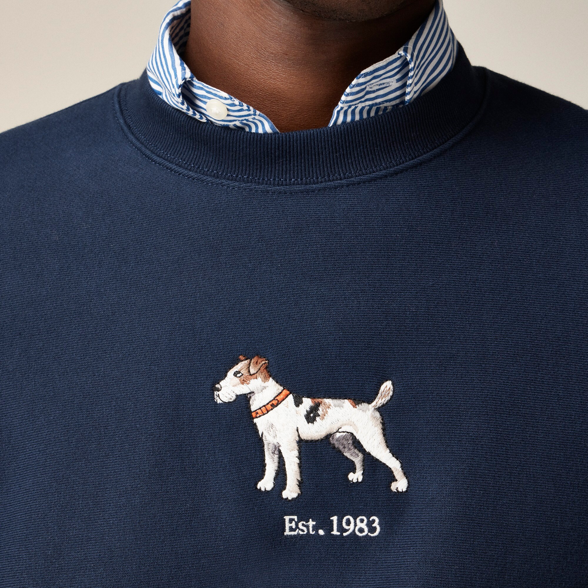 J crew embroidered sweatshirt sales