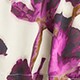 Soft shine pajama short set in iris floral PURPLE j.crew: soft shine pajama short set in iris floral for women