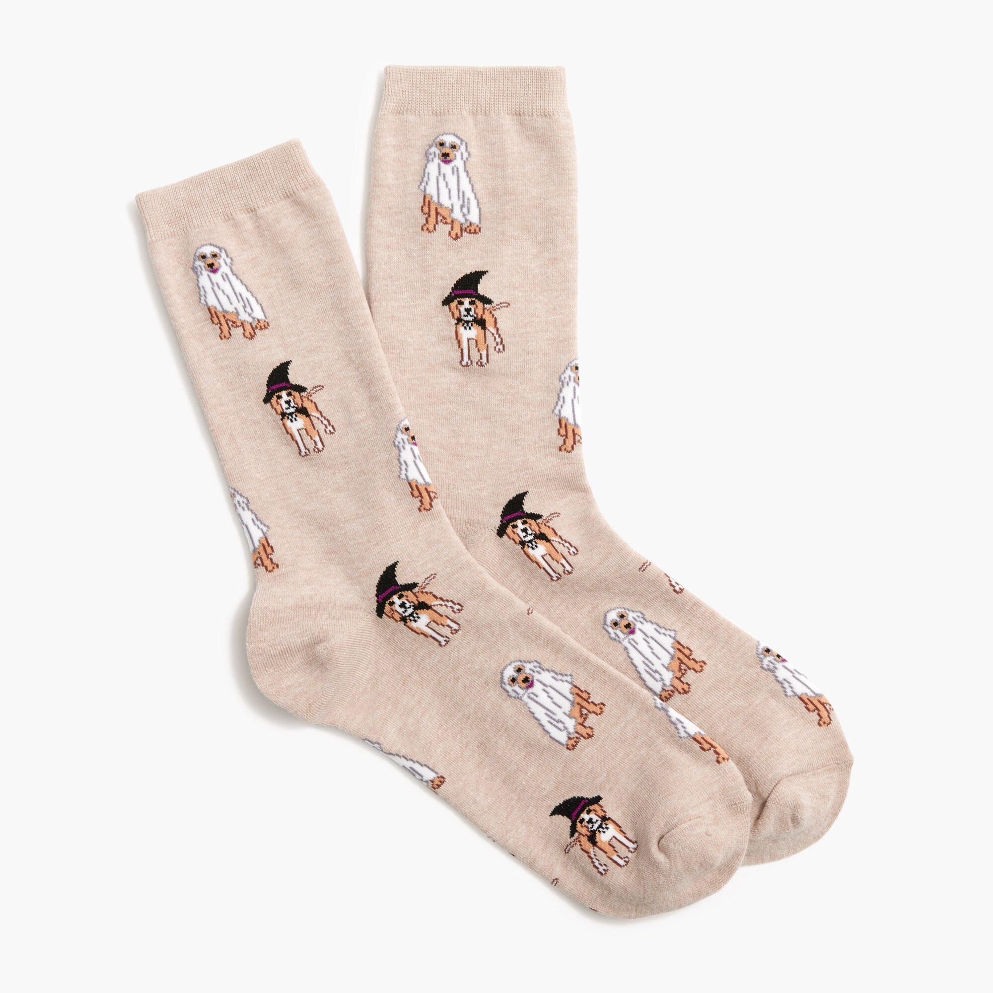 Dogs in costume trouser socks