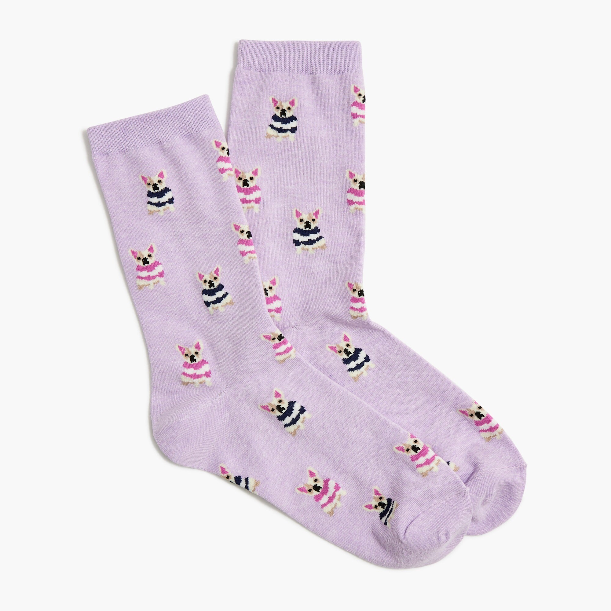 Dogs in sweaters trouser socks
