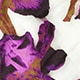 Lace-trim camisole top in iris floral PURPLE j.crew: lace-trim camisole top in iris floral for women