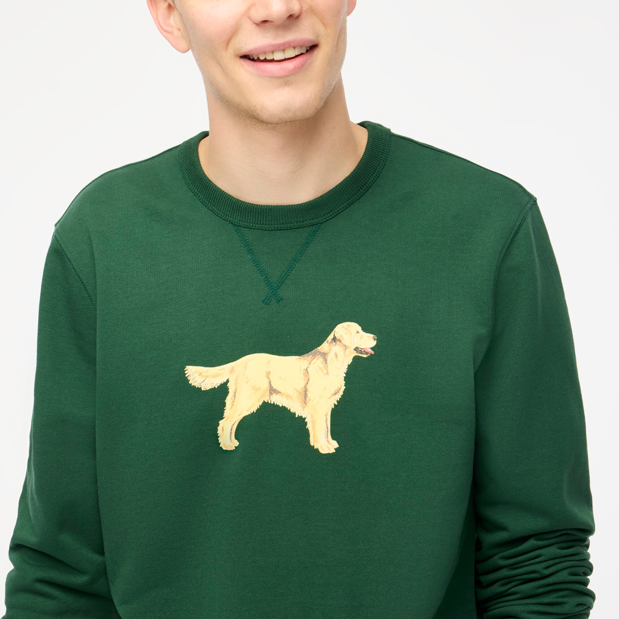 Dog sweatshirt