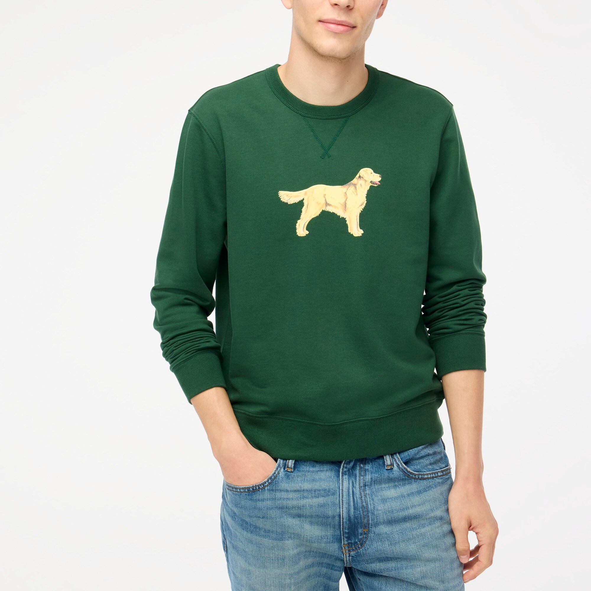 Dog sweatshirt