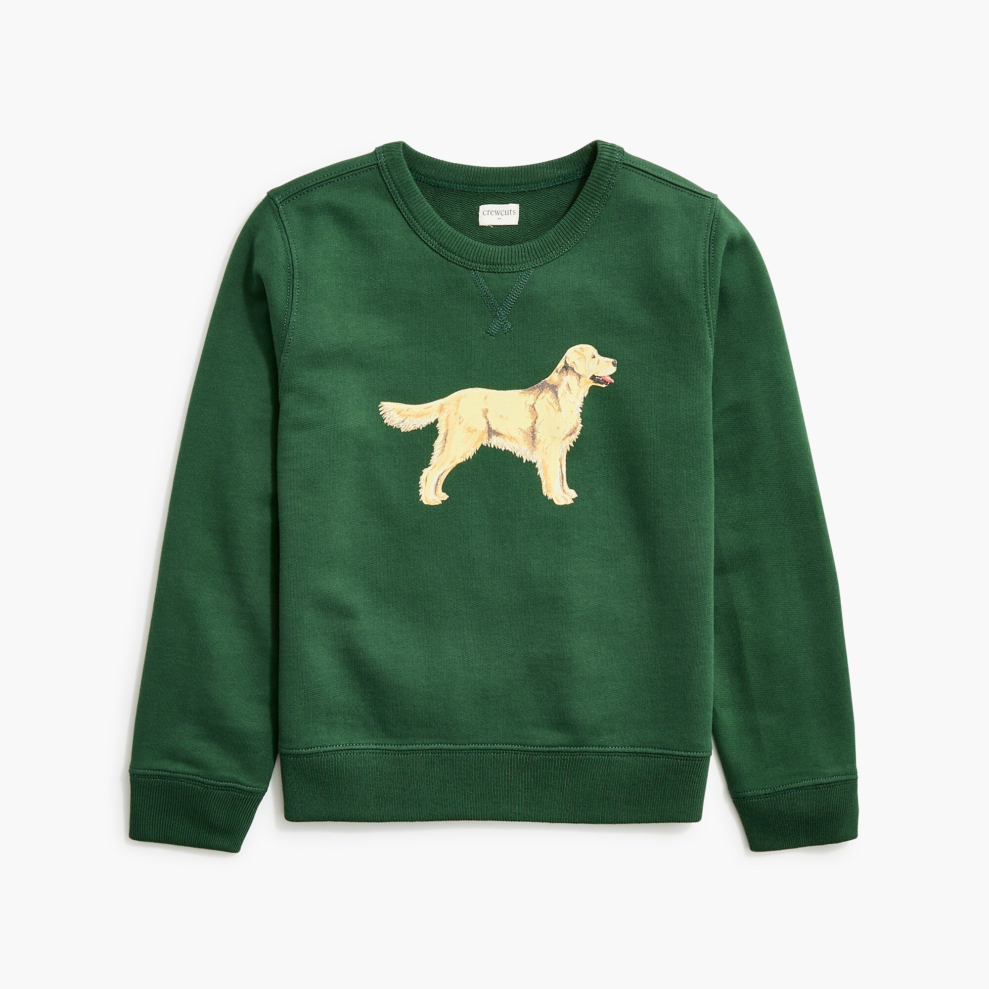 Boys' dog graphic sweatshirt