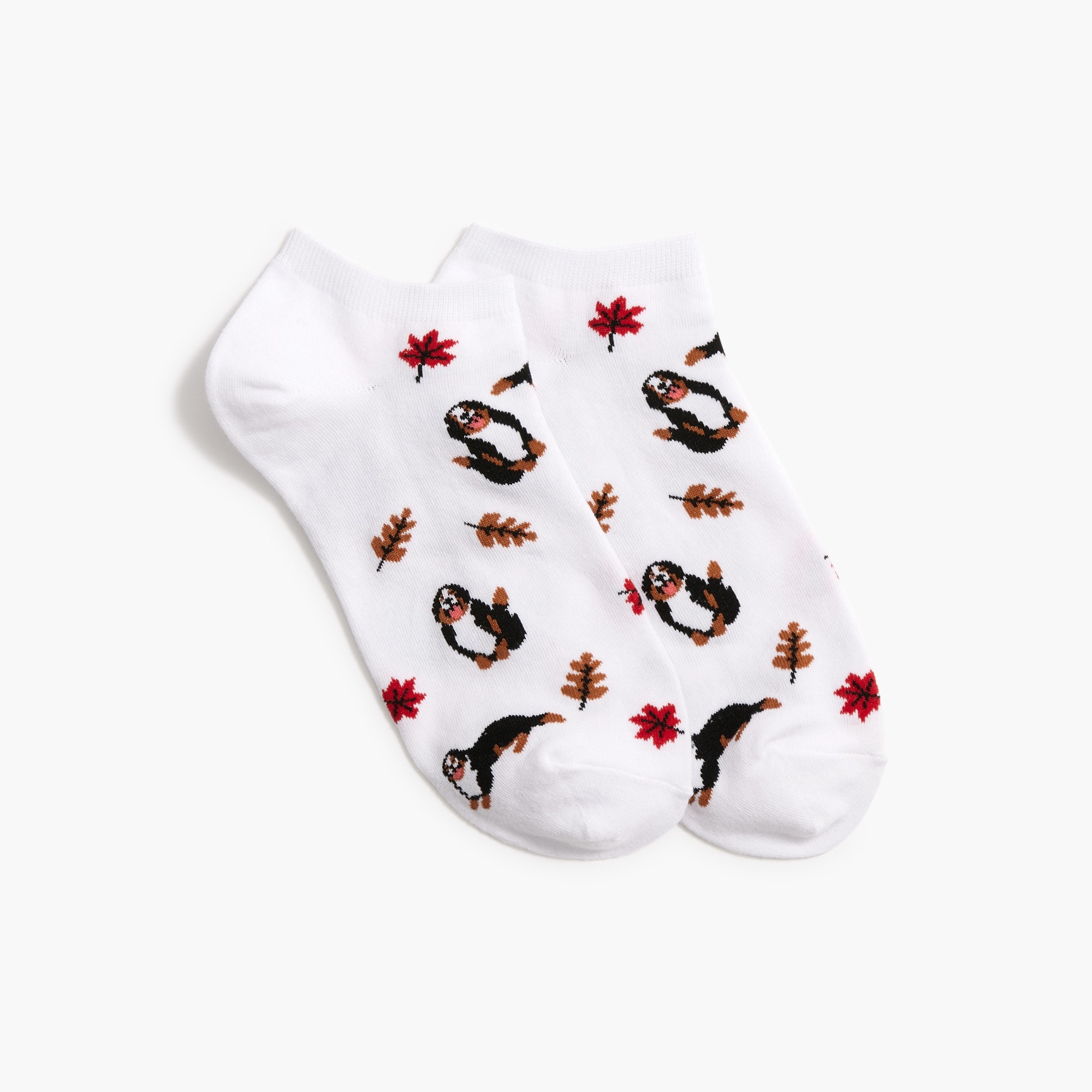 Bernese mountain dog and leaves ankle socks