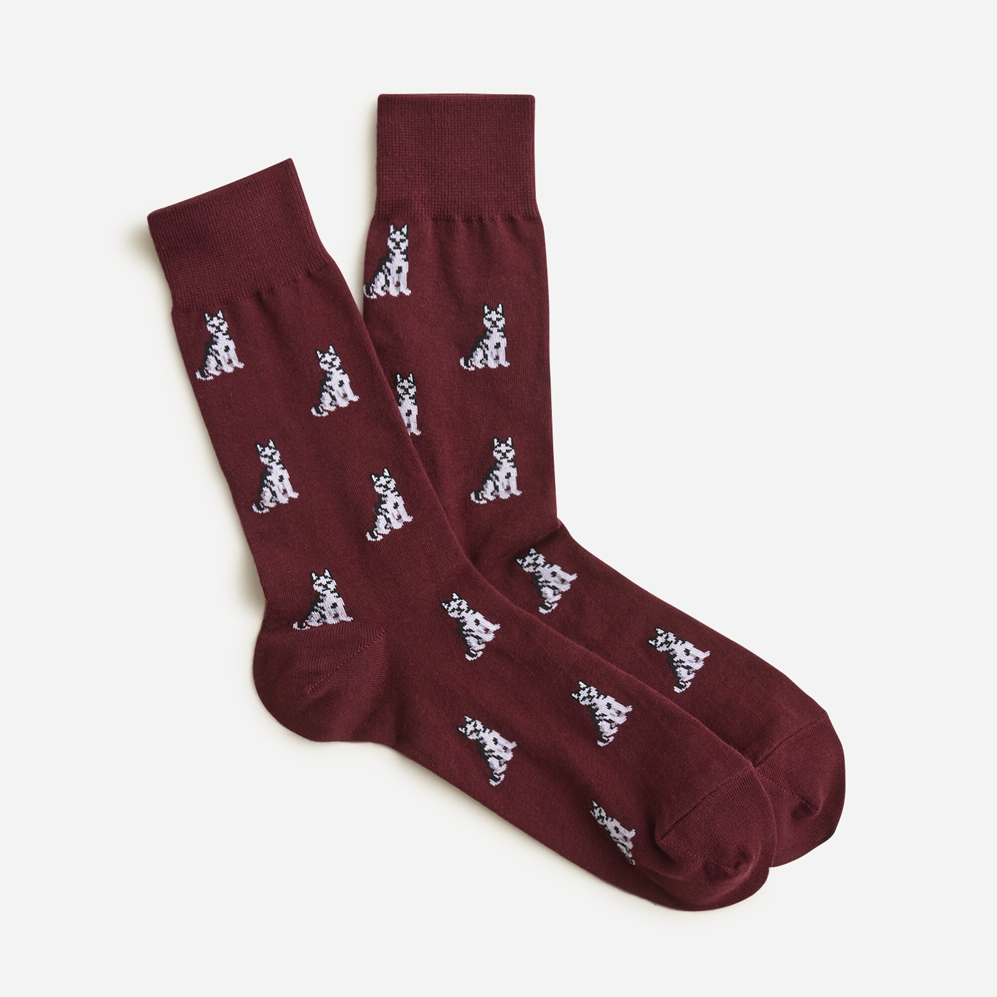 husky dog socks for men