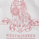 Limited-edition Westminster Kennel Club Dog Show X Crewcuts kids' graphic T-shirt WESTMINSTER PINK j.crew: limited-edition westminster kennel club dog show x crewcuts kids' graphic t-shirt for girls