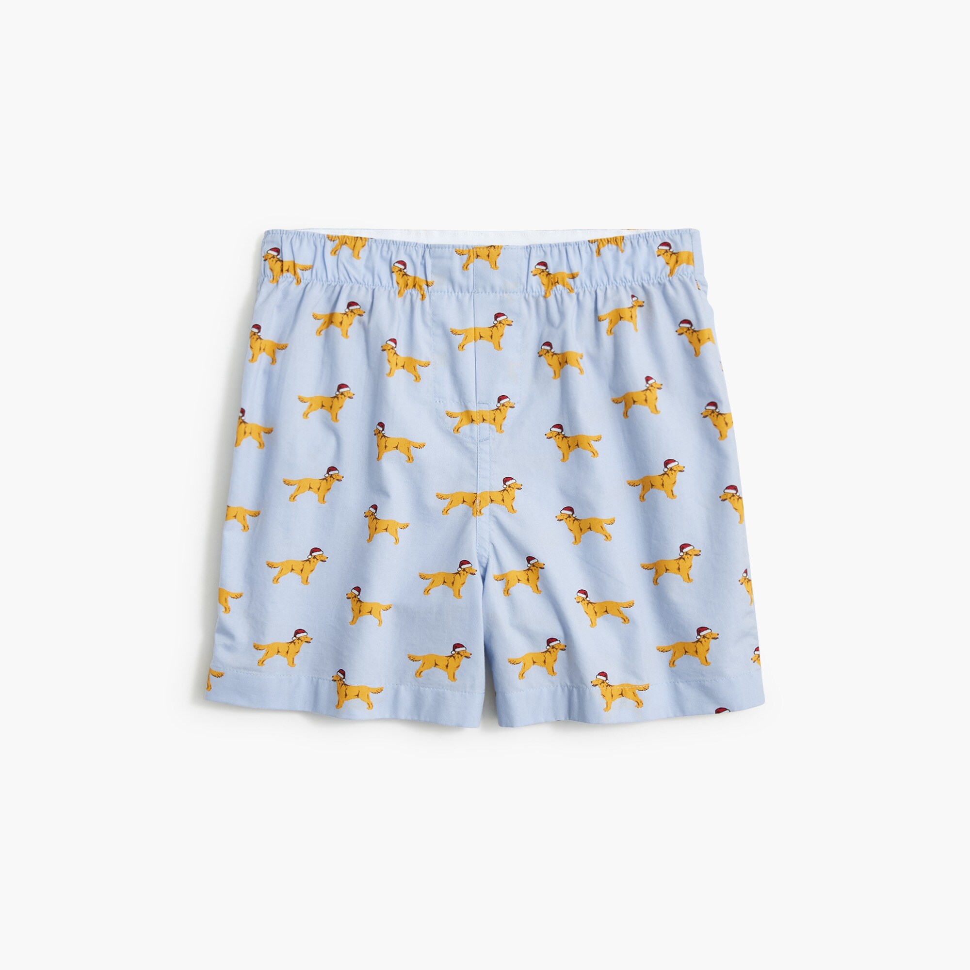 boys' santa hat dog boxers for boys