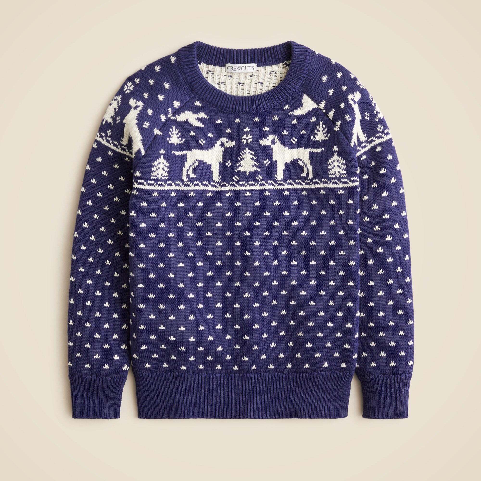 Boys' dog Fair Isle crewneck sweater