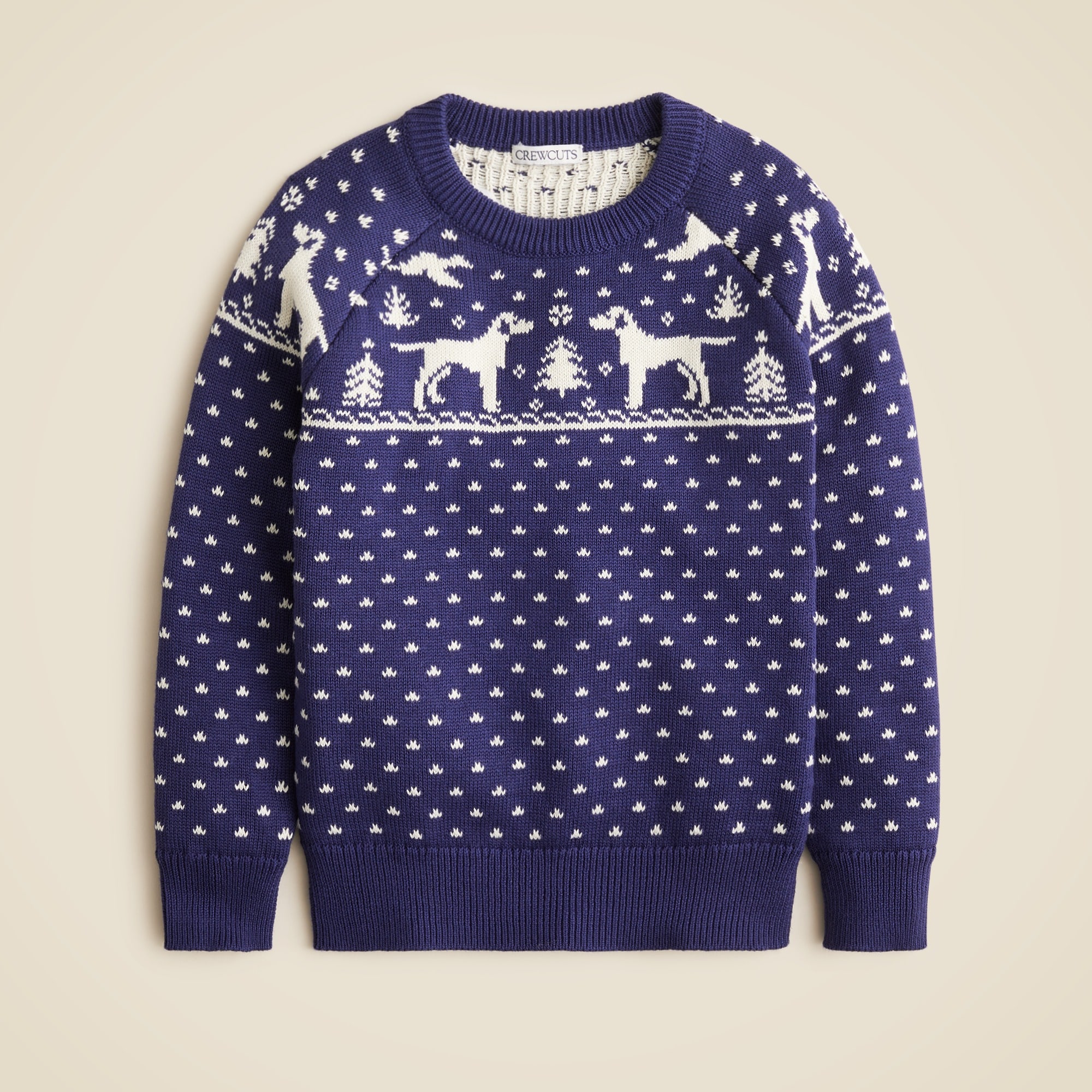Boys' dog Fair Isle crewneck sweater