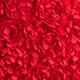 Rosette mini dress DEEP RUBY factory: rosette mini dress for women