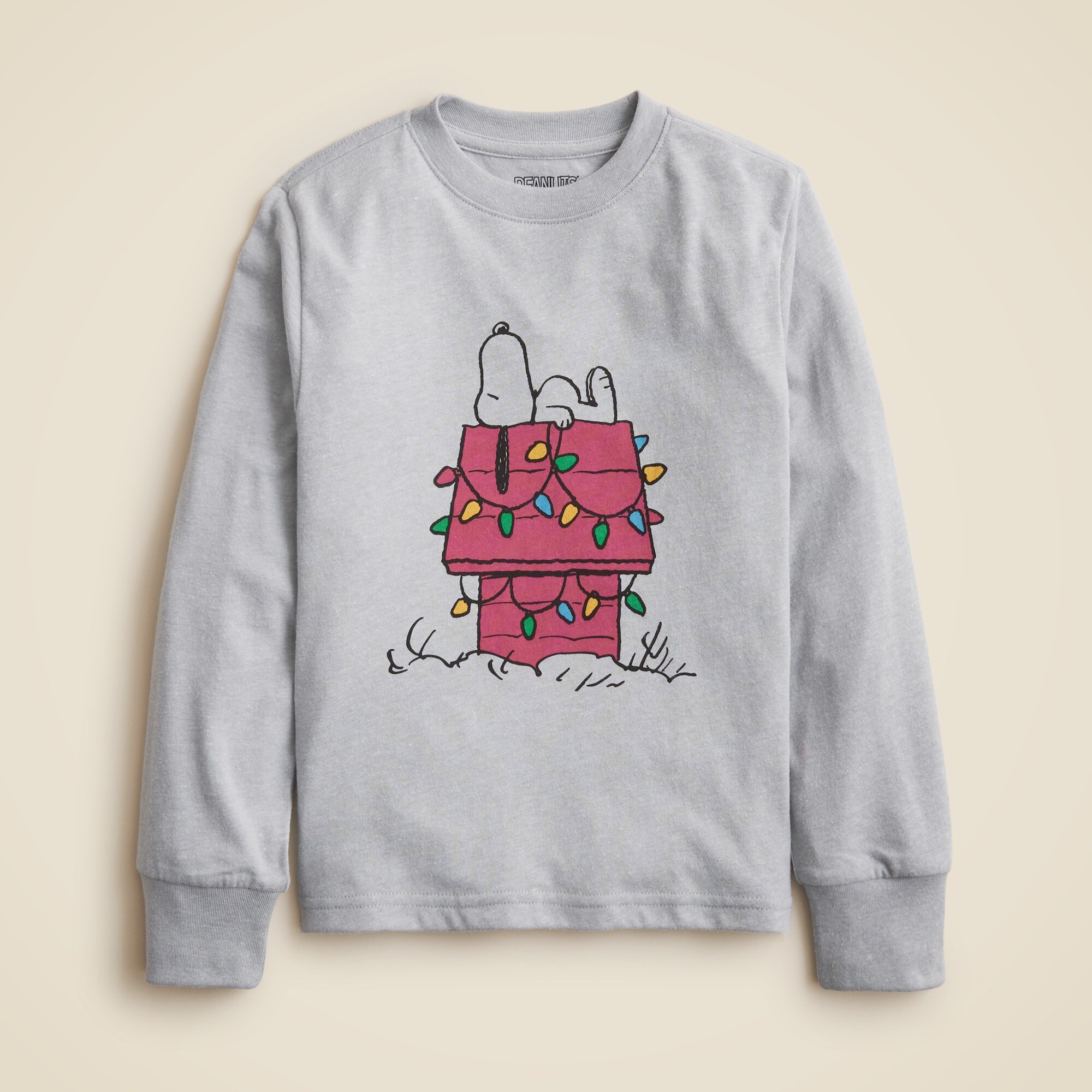 Kids' Peanuts® X Crewcuts Snoopy graphic T-shirt