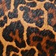 Bordeaux bag in tortoise print leather CLASSIC TORT 