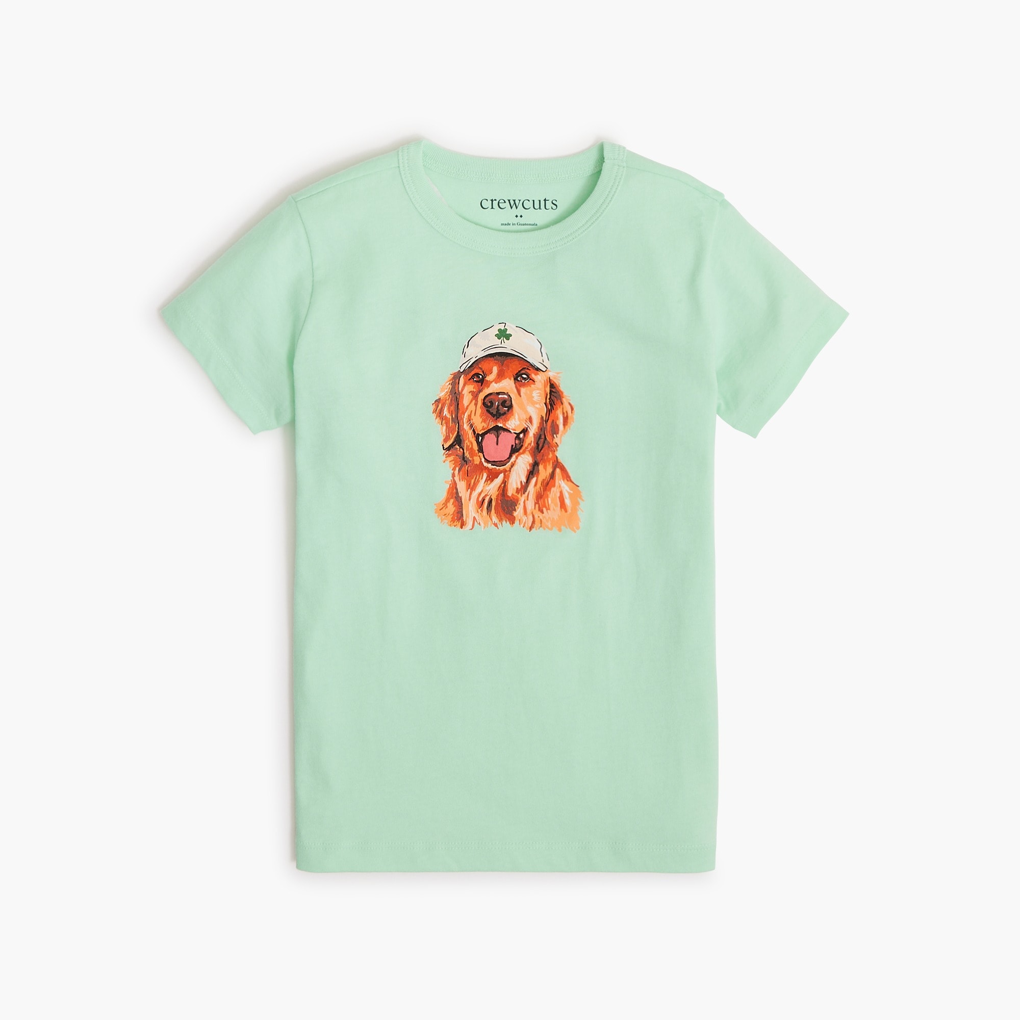 Boys' golden retriever in clover hat graphic tee