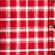 Embellished shrunken button-up shirt in tartan brushed cotton oxford undefined
