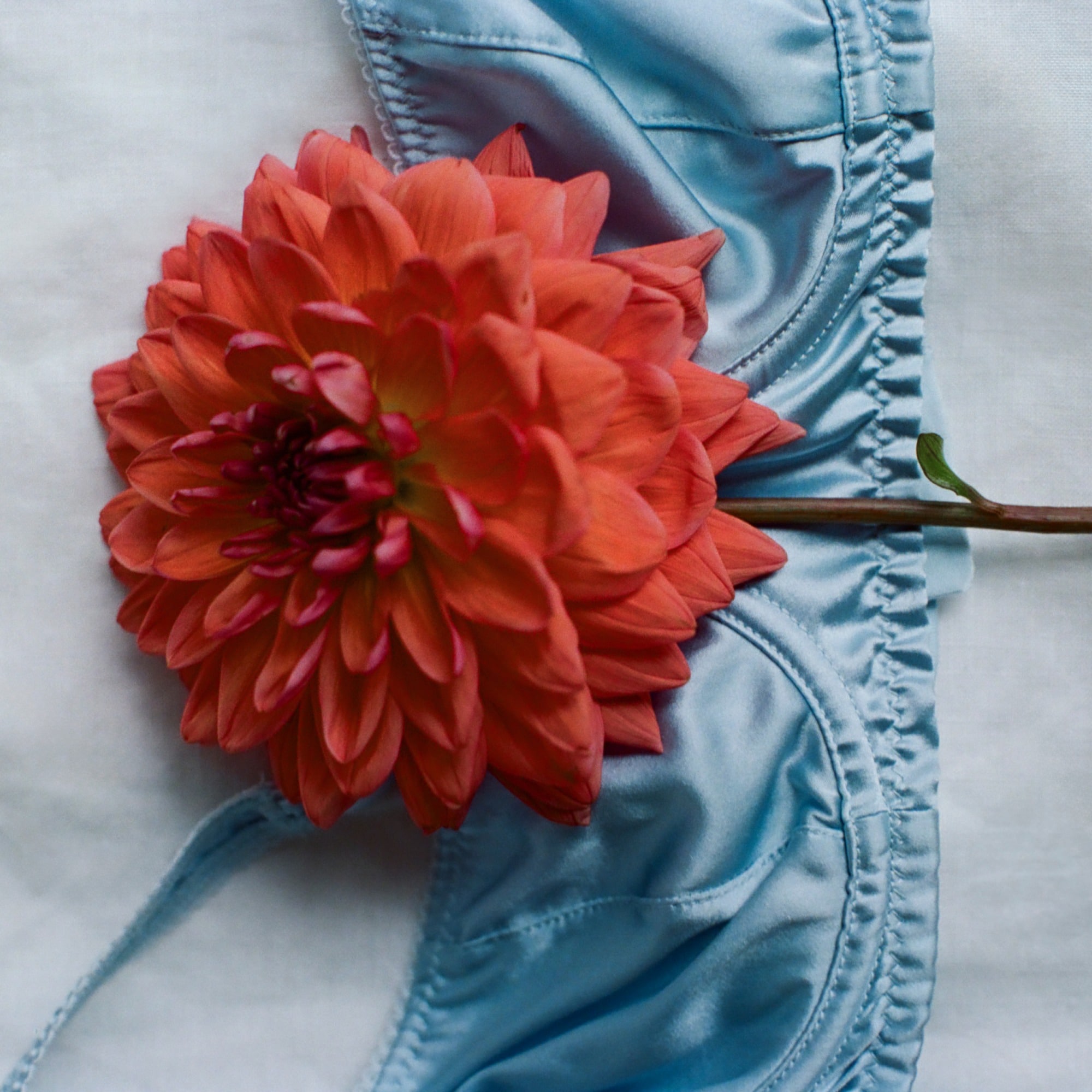 Araks X J.Crew Gita underwire bra