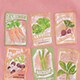 Bonjour graphic tee SEED PACKETS