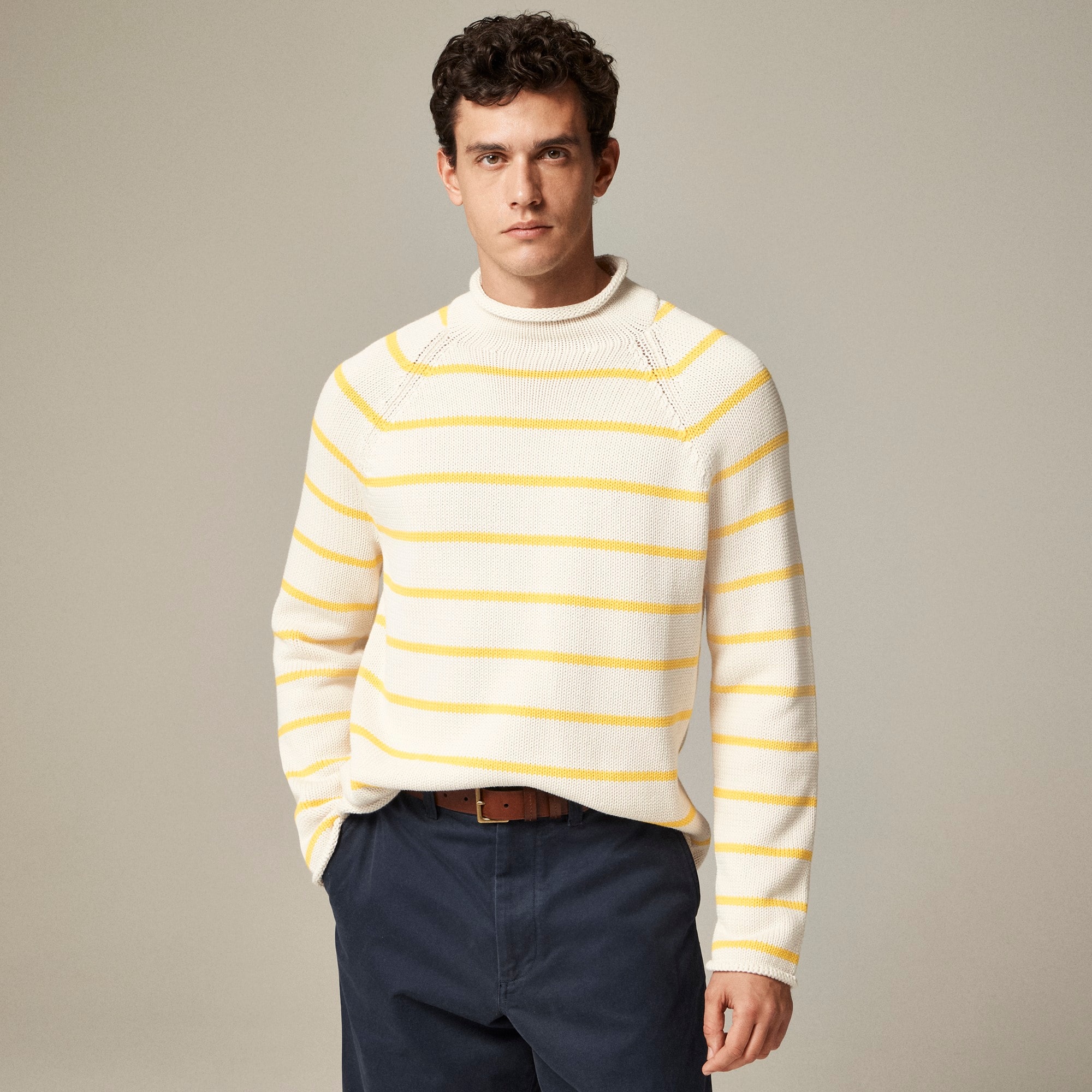 mens 1988 Rollneck&trade; cotton sweater in stripe